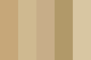 On A Budget Brown Color Palette