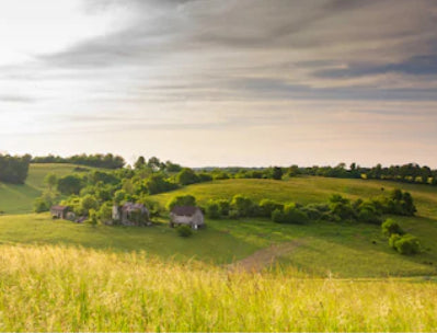 Neo-diversity In Appalachia?